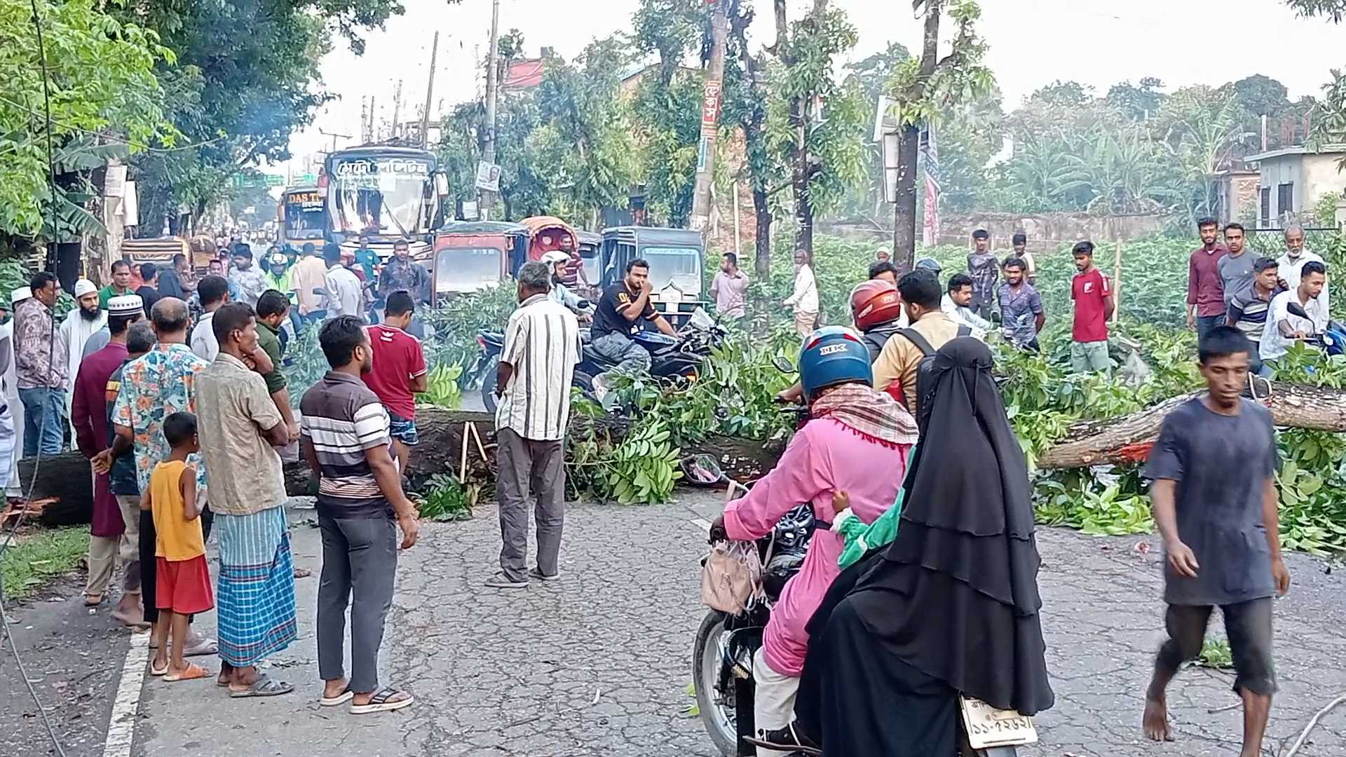 পিরোজপুরে কালবৈশাখী ঝড়ের তাণ্ডব, যান চলাচল বন্ধ