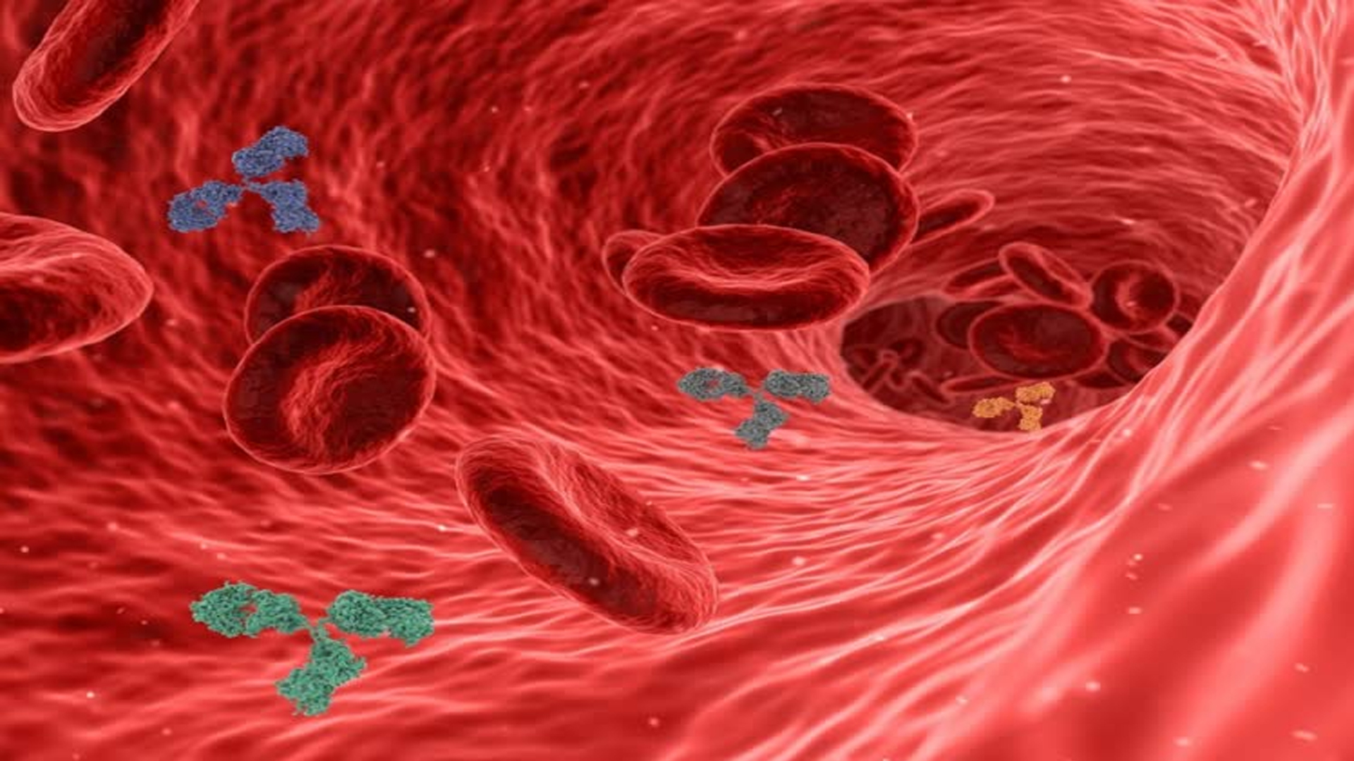 শরীরে রক্তের বিষক্রিয়া দূর করতে ঘরোয়া ৫ খাবার