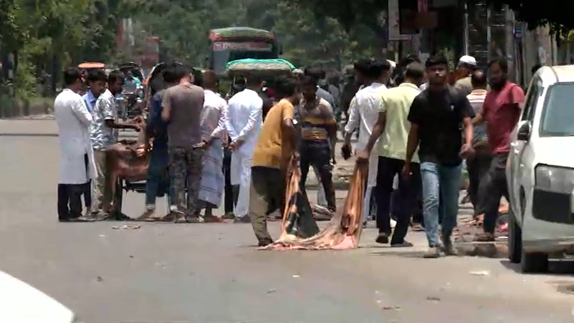 কোরবানির চামড়া সংগ্রহ চলছে, প্রত্যাশিত দাম না পাওয়ার অভিযোগ