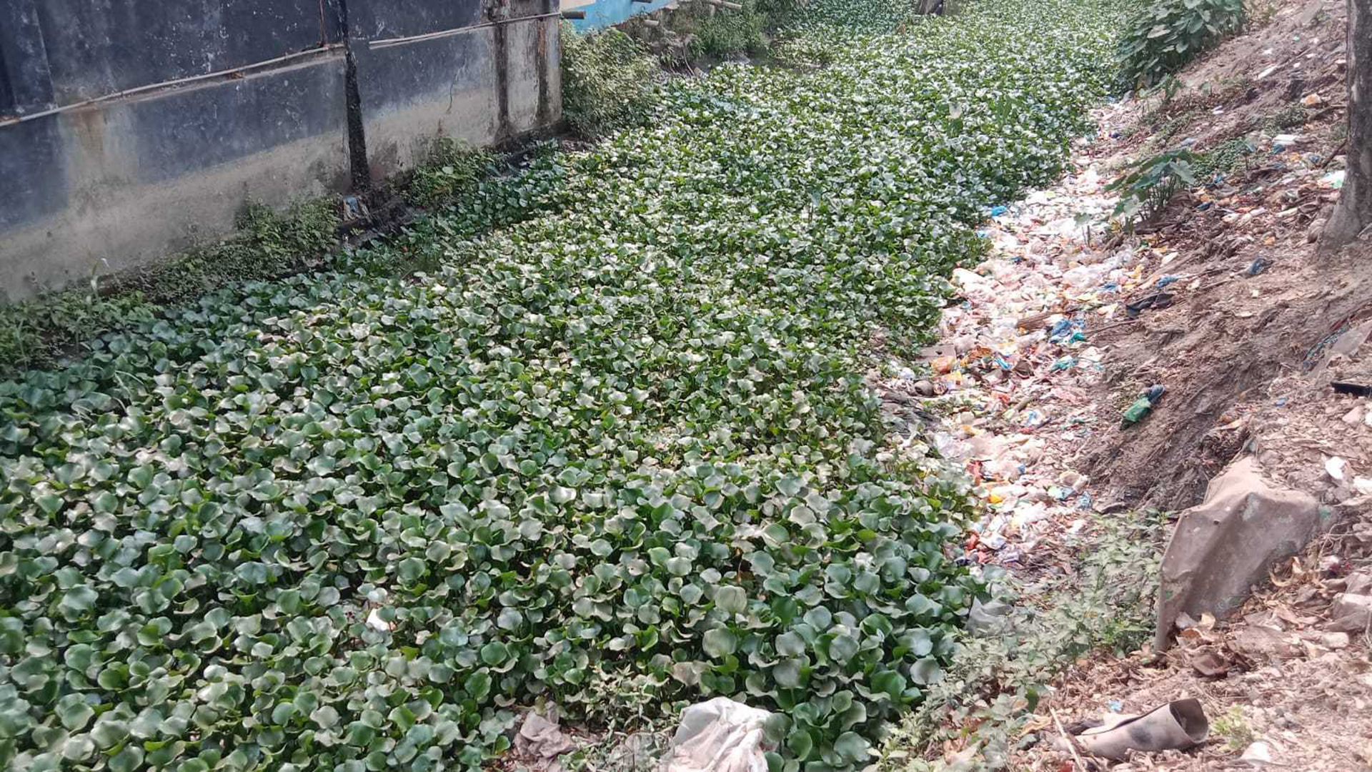 নামমাত্র খনন দেখিয়ে প্রকল্পের দেড় কোটি টাকা লোপাটের অভিযোগ