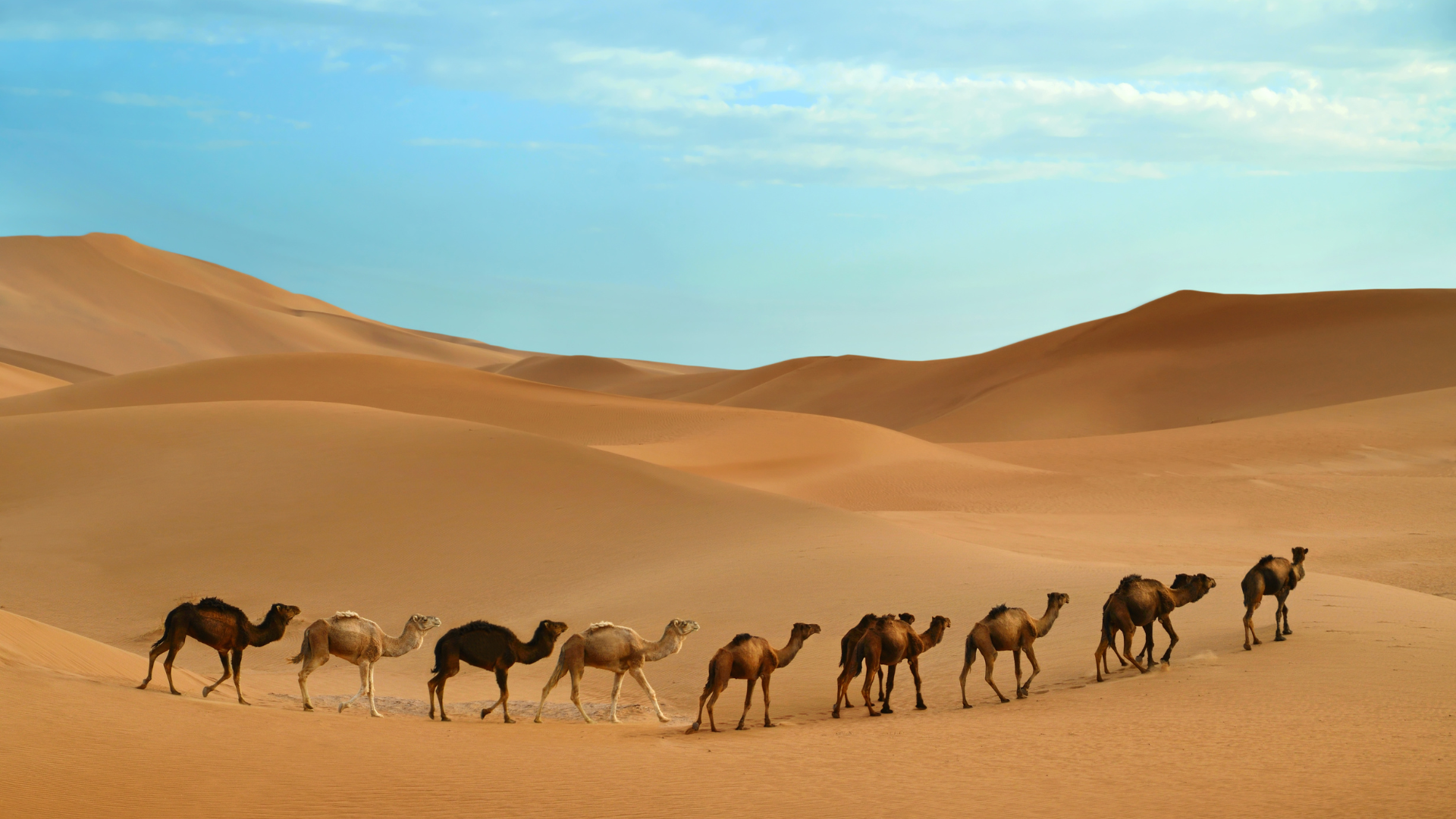 Mariya Sittel va Borodinning pornosi