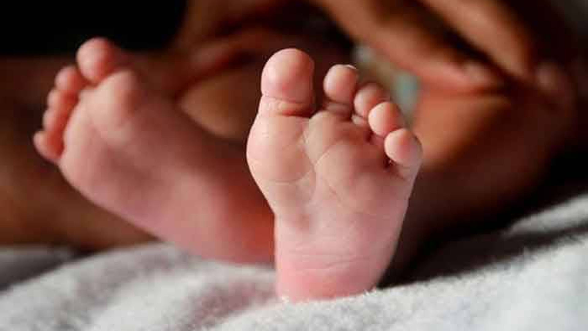 শিয়াল-কুকুর টেনেহিঁচড়ে রাস্তায় তুলল নবজাতকের মরদেহ