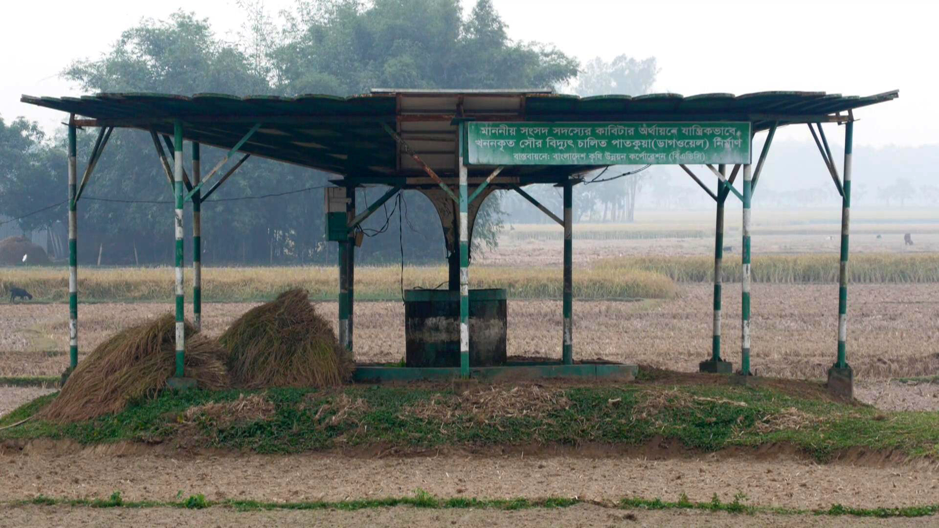 পাতকুয়ায় পানি নেই, সোয়া দুই কোটি টাকা জলে!