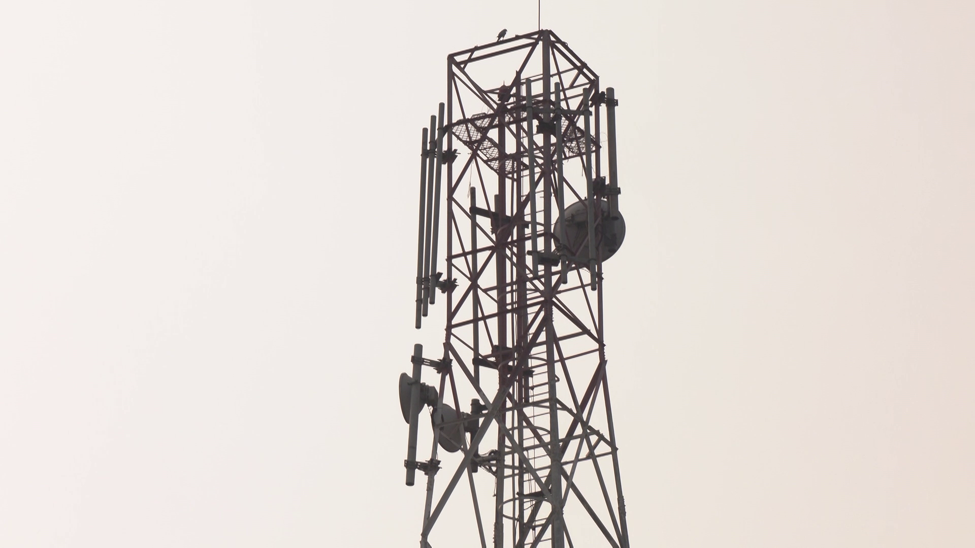 সংশোধন হচ্ছে অন্তর্বর্তী সরকারের করা টেলিকম নীতিমালা