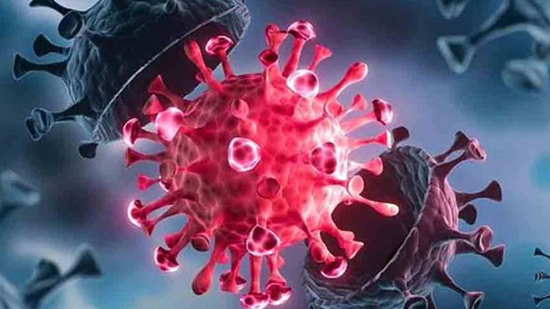 Yalangoch Tila Tekilaning porno videosi