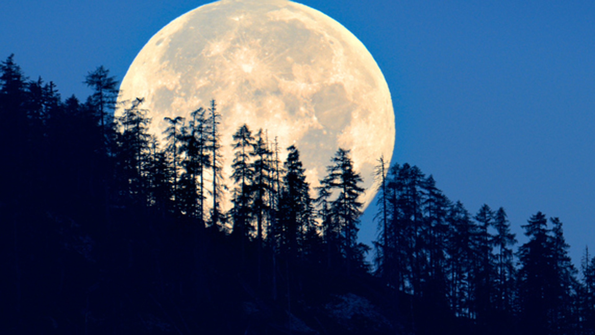 সবচেয়ে বড় সুপারমুন দেখা যাবে আজ