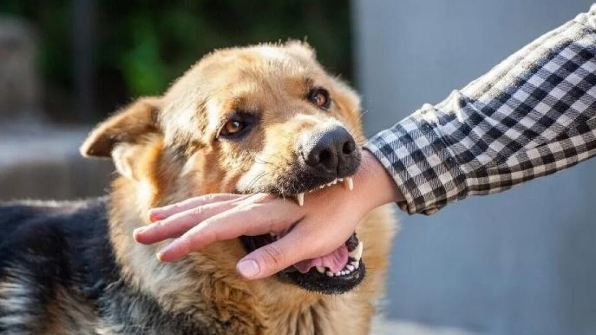 Yalangoch etuk ayollar foto video