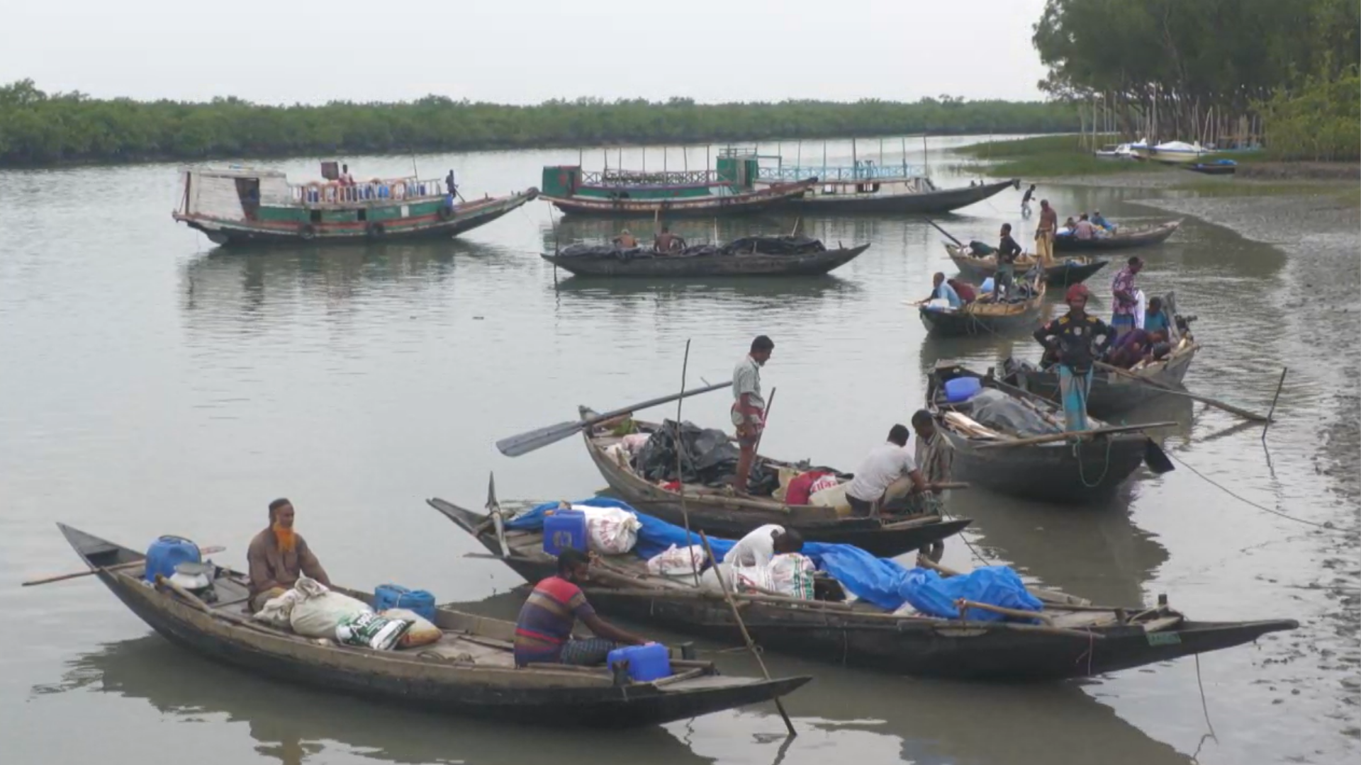 সুন্দরবনে বুধবার শুরু হচ্ছে মধু আহরণ, বনদস্যু আতঙ্কে মৌয়ালরা