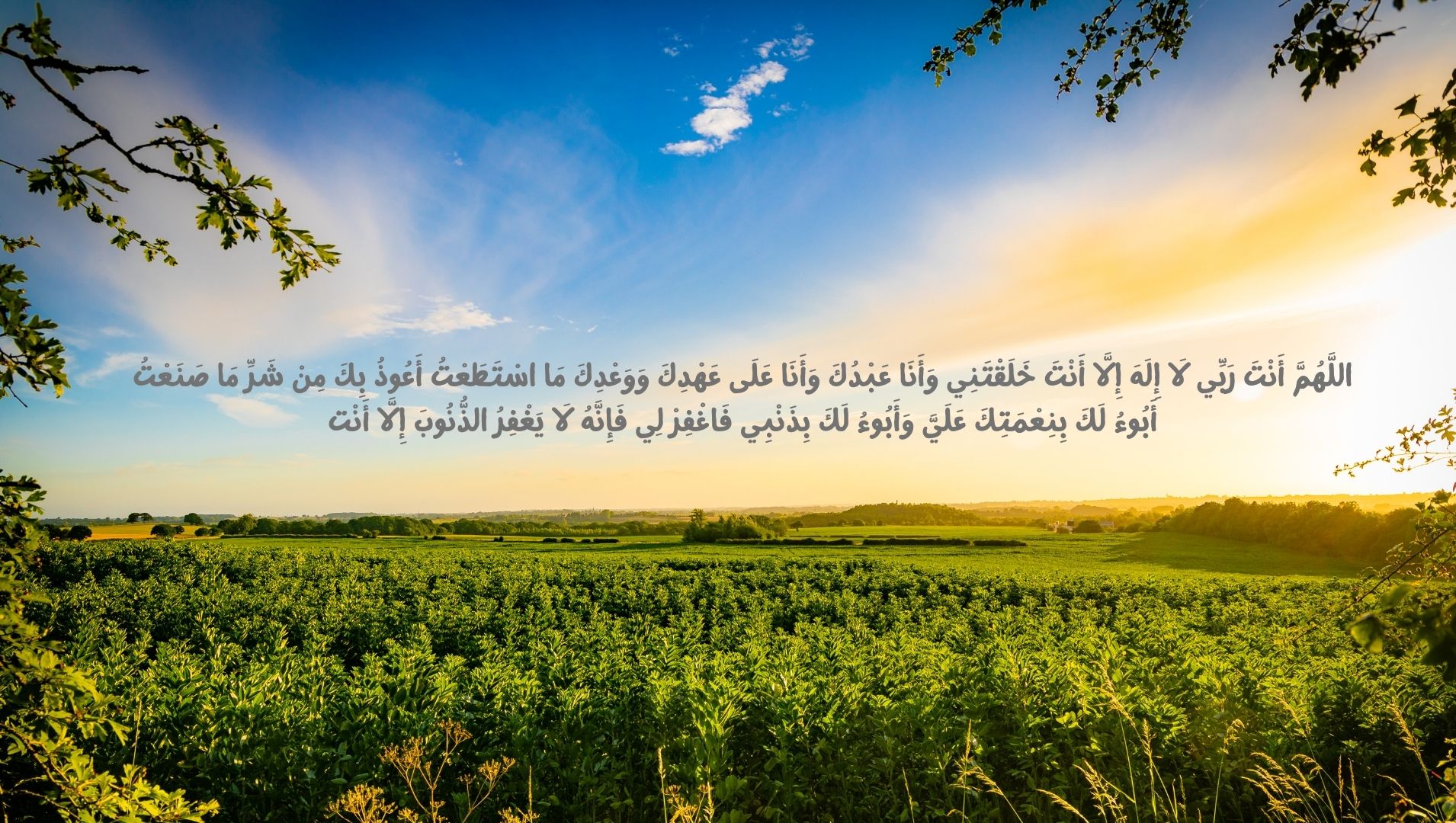 Internetda uyda yolgizman deb oylagan onaning porno videosi