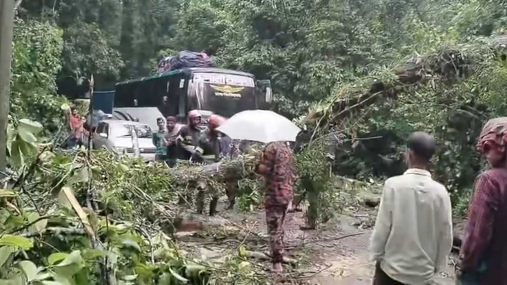 লাউয়াছড়ায় গাছ উপড়ে পড়ে ৪ ঘণ্টা যান চলাচল বিঘ্নিত
