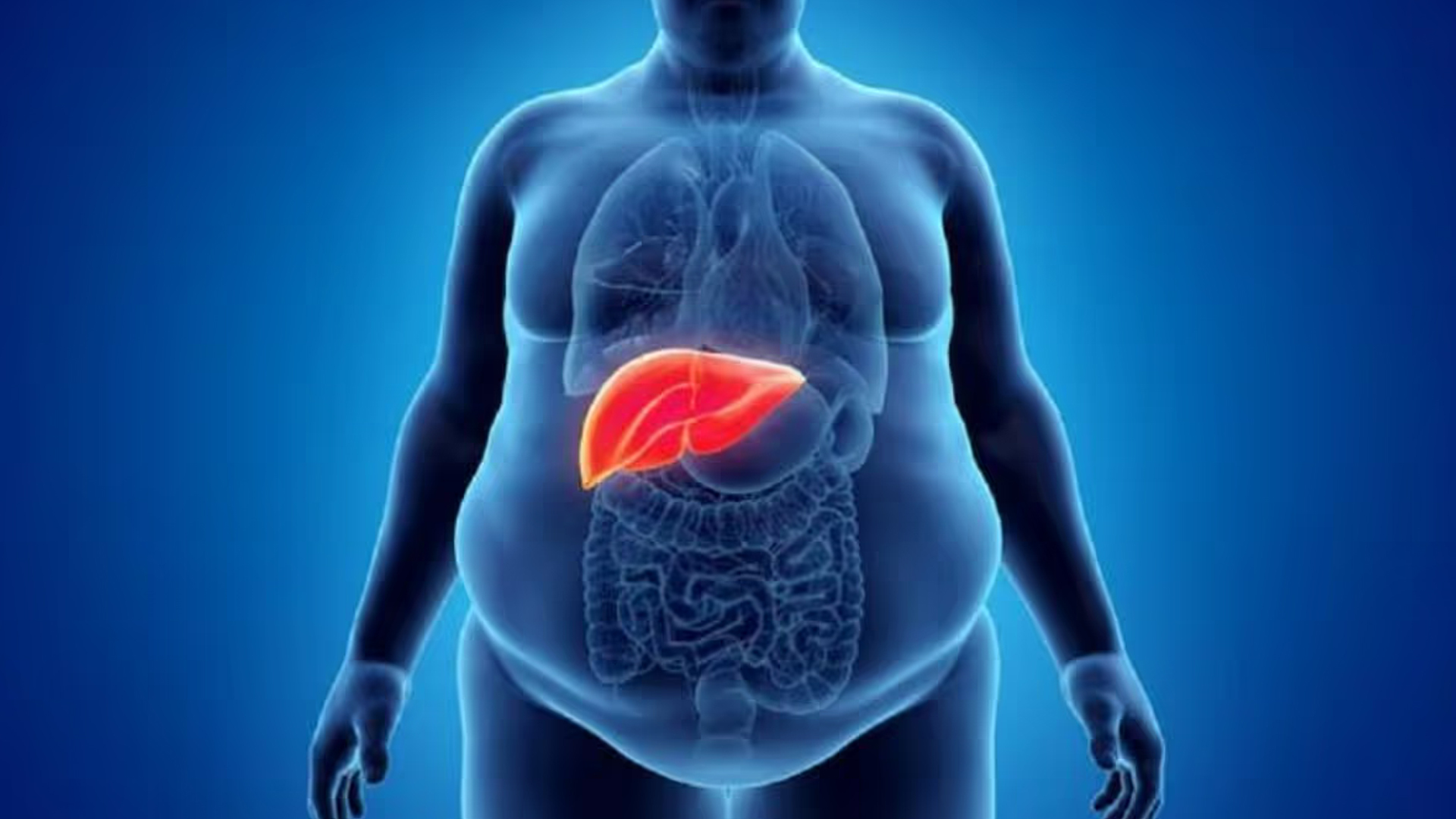 Porno qizlar buni eshakda istaydilar