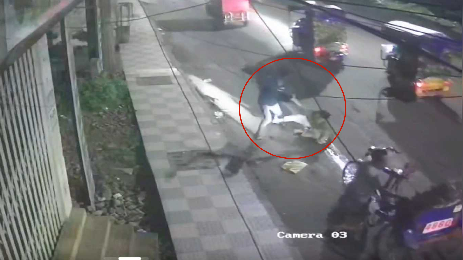 ছিনতাইকারীর সঙ্গে তরুণীর ধস্তাধস্তি, যা দেখা গেল সিসিটিভি ফুটেজে