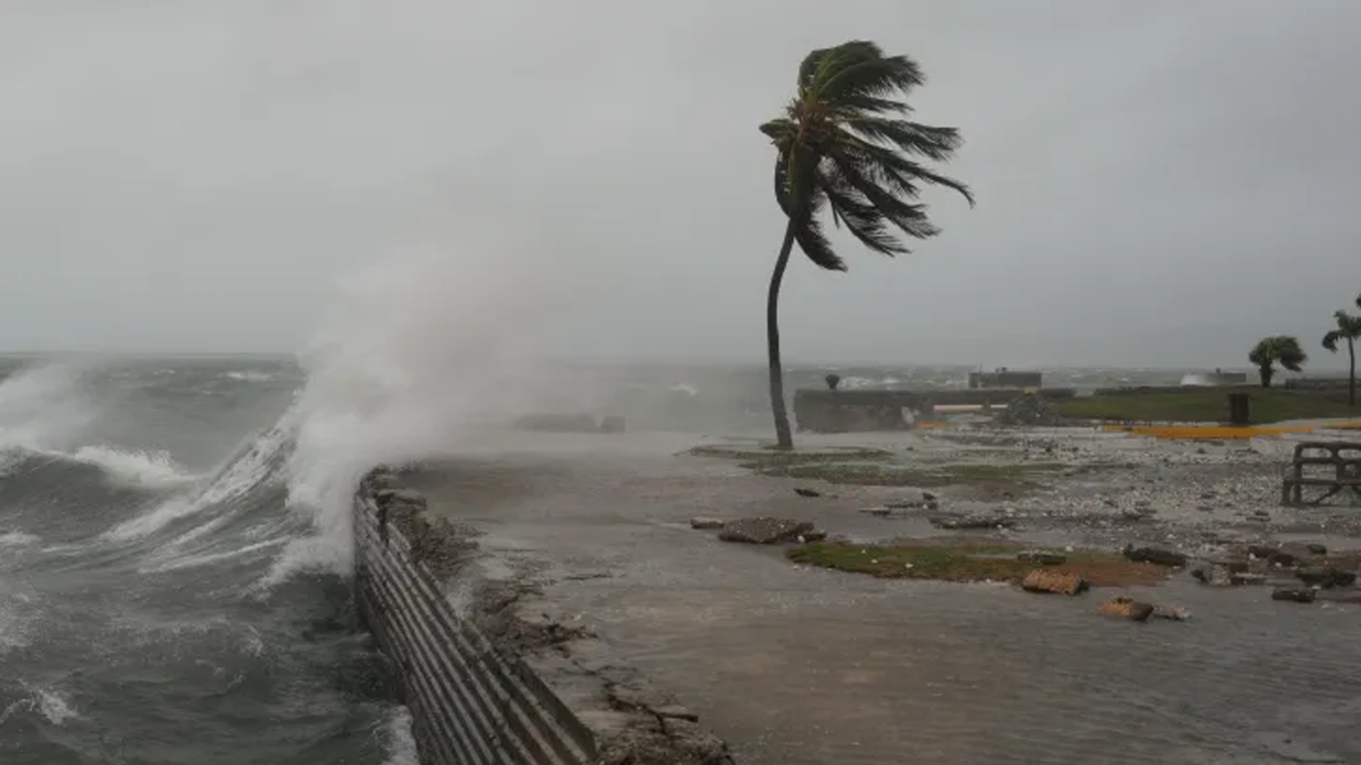 ঘূর্ণিঝড় মেলিসা থেকে বাঁচতে জ্যামাইকার অধিবাসীদের আশ্রয়কেন্দ্রে যাওয়ার আহ্বান