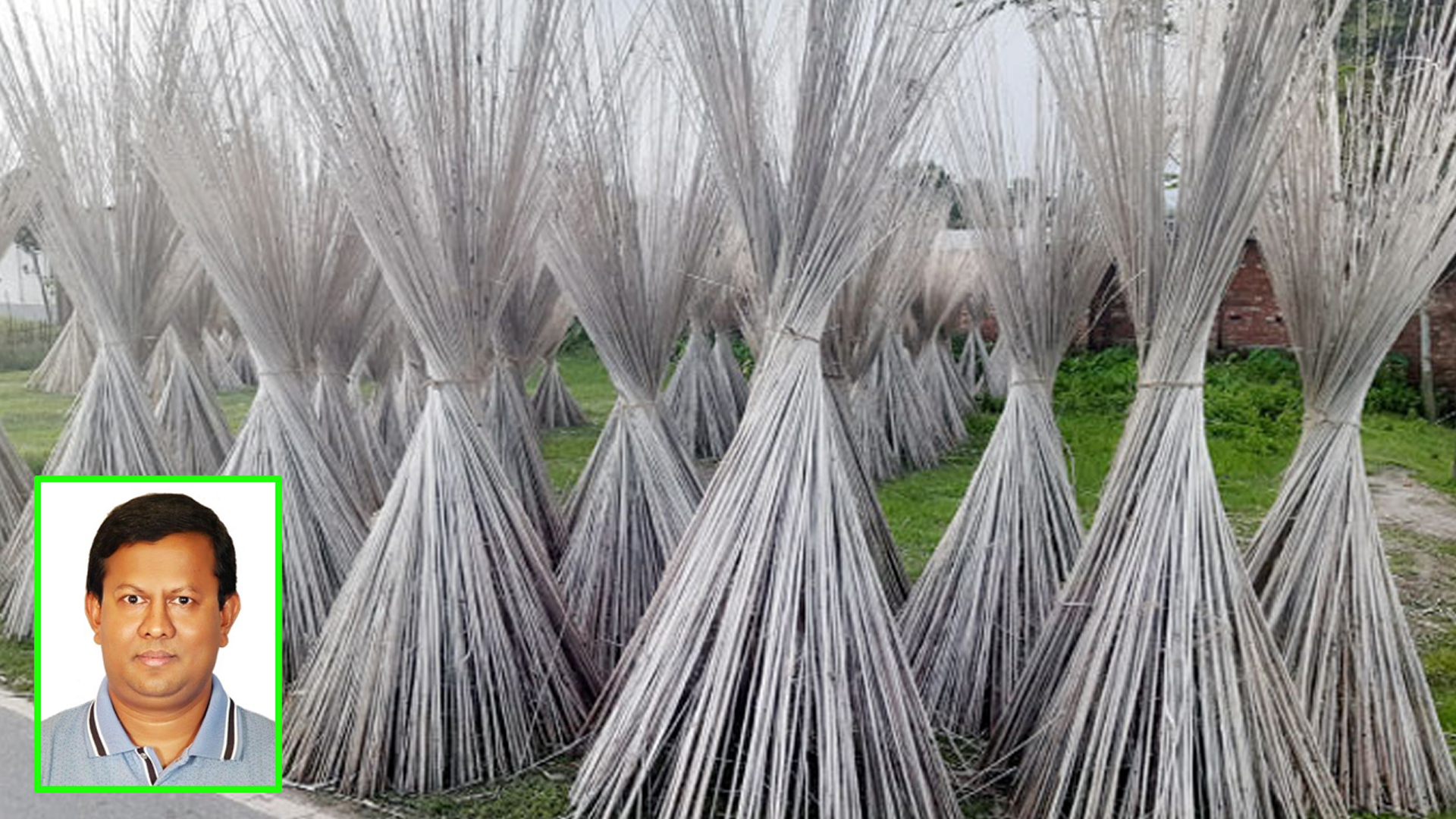 পাটকাঠি থেকে উচ্চমানের গ্রাফিন, টেকসই ন্যানোম্যাটেরিয়ালে নতুন দিগন্ত