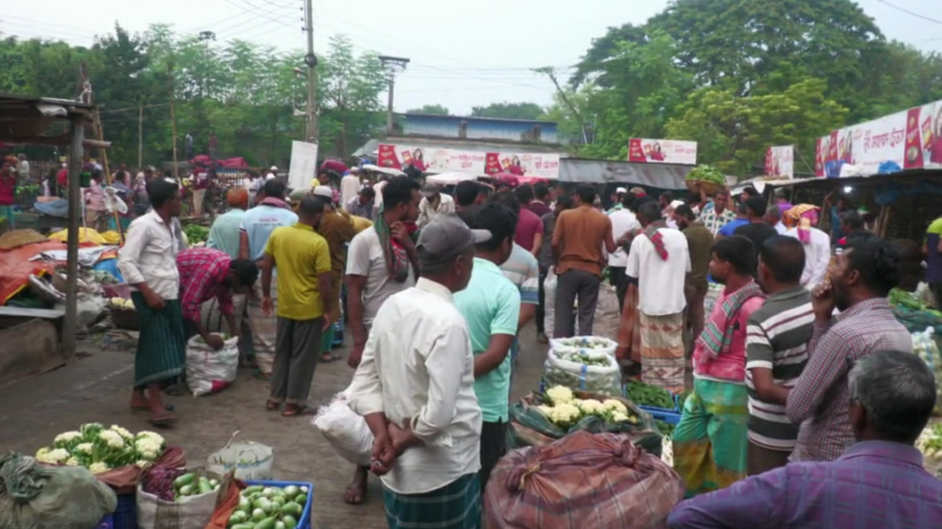 কমেছে আগাম শীতকালীন সবজির দাম, ক্রেতারা বলছেন ‘ক্রয় ক্ষমতার বাইরে’