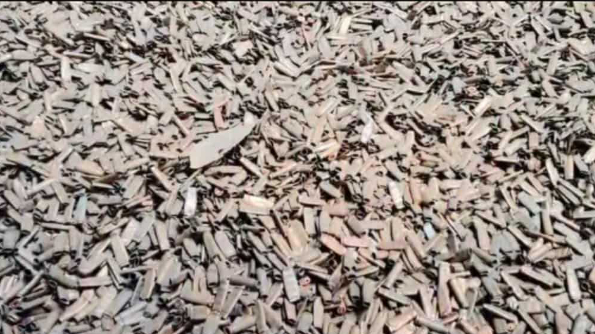 গোডাউনে মিলল গুলির ১৩ টন খোসা!