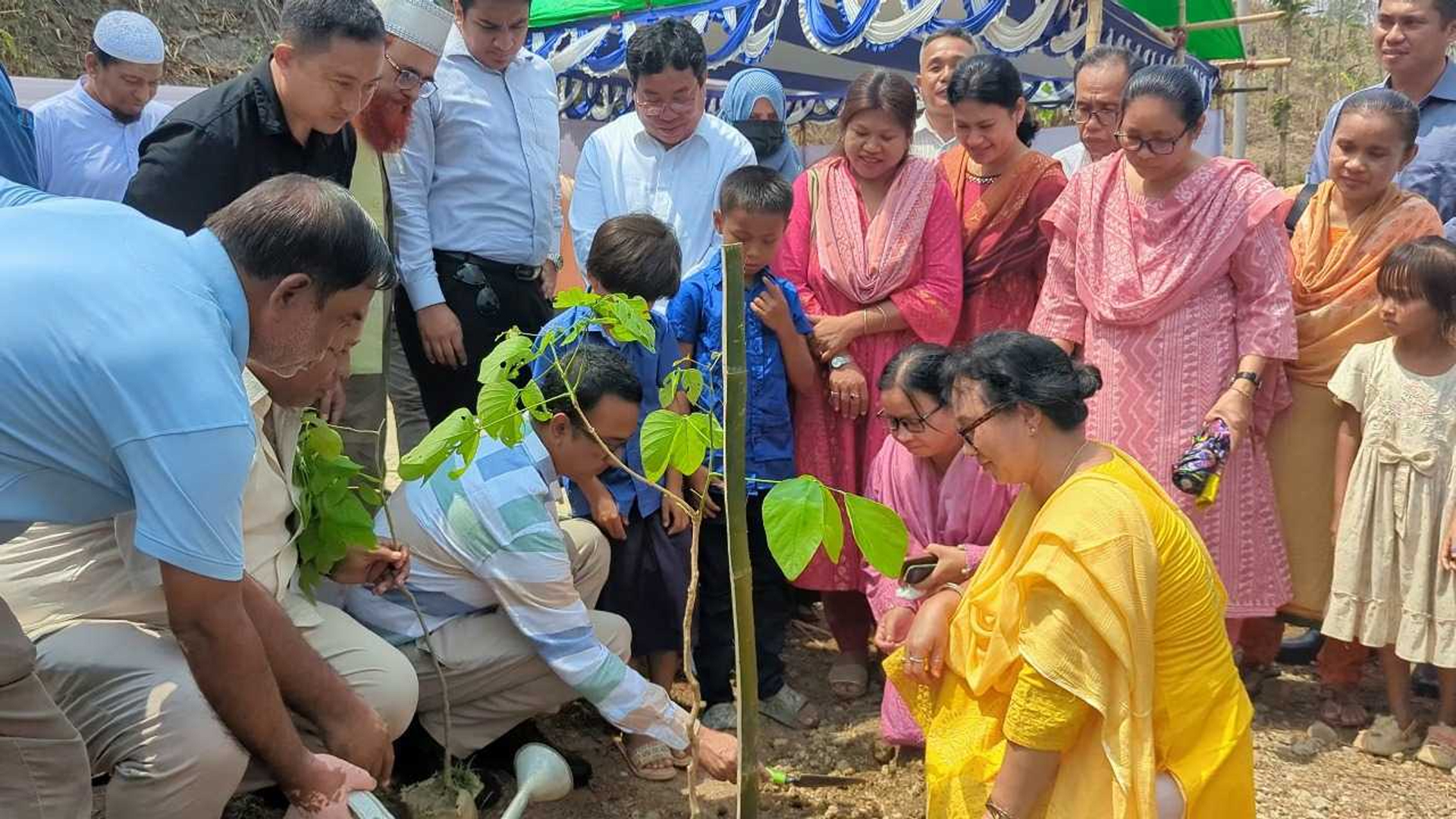রাঙ্গামাটিতে সড়ক বিভাগের বৃক্ষরোপণ শুরু
