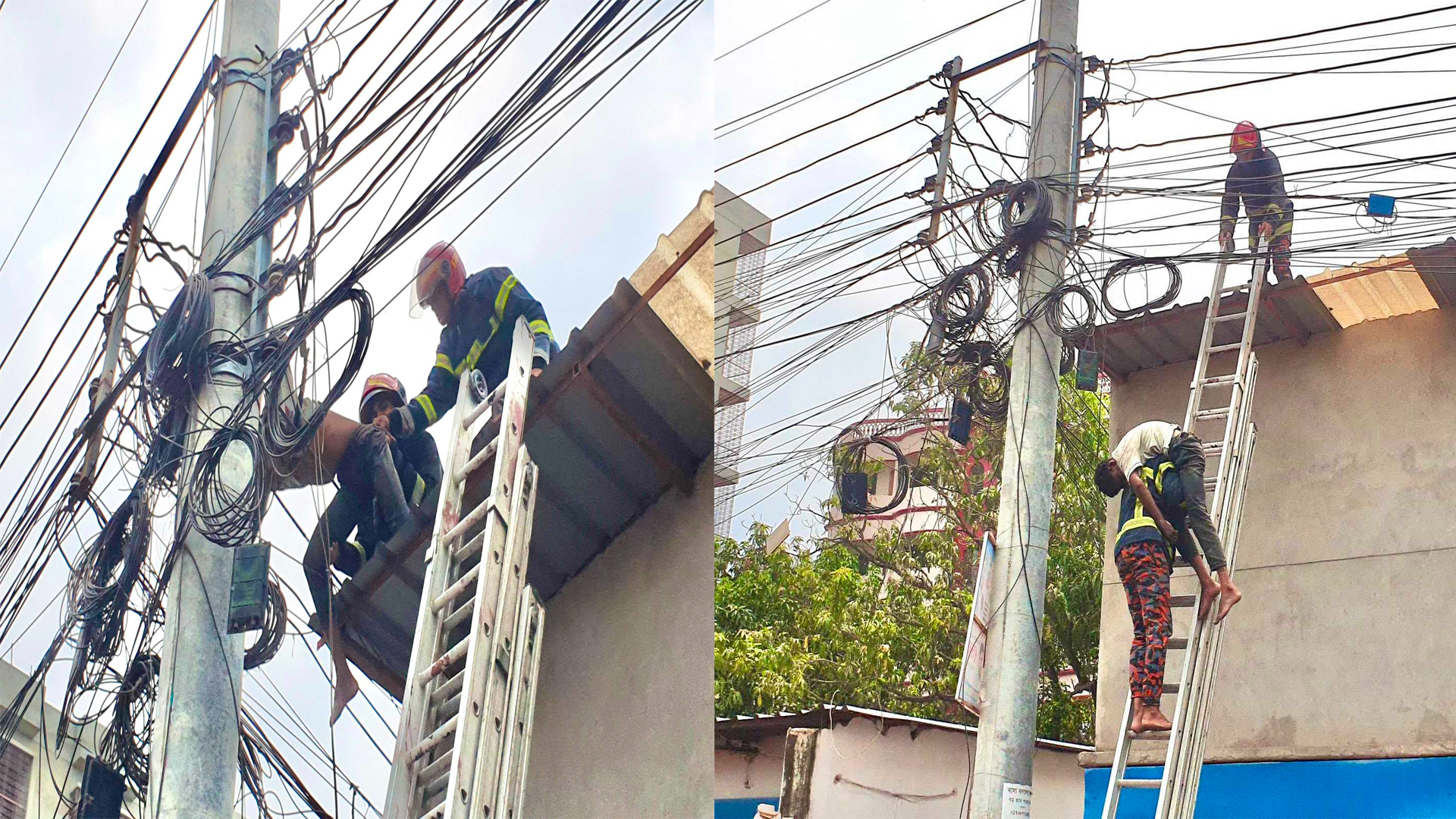 রাজশাহীতে ঘুঘুর বাচ্চা পাড়তে গিয়ে প্রাণ গেল কিশোরের
