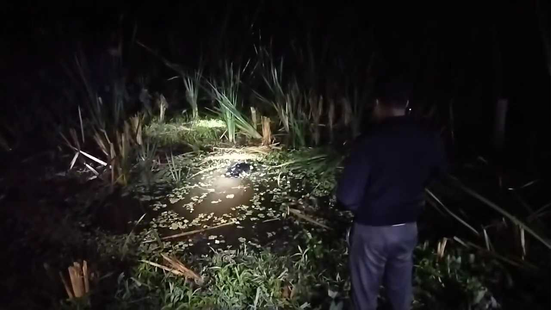 বরিশালে হোগলপাতা ক্ষেতের মধ্যে পাওয়া গেল বৃদ্ধের রক্তাক্ত মরদেহ