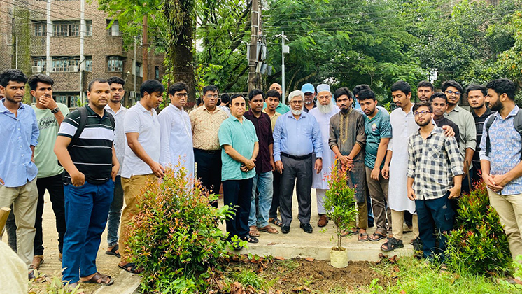 শাবিতে ছাত্রদলের ফুল ফল এবং ওষুধি গাছের চারা রোপণ