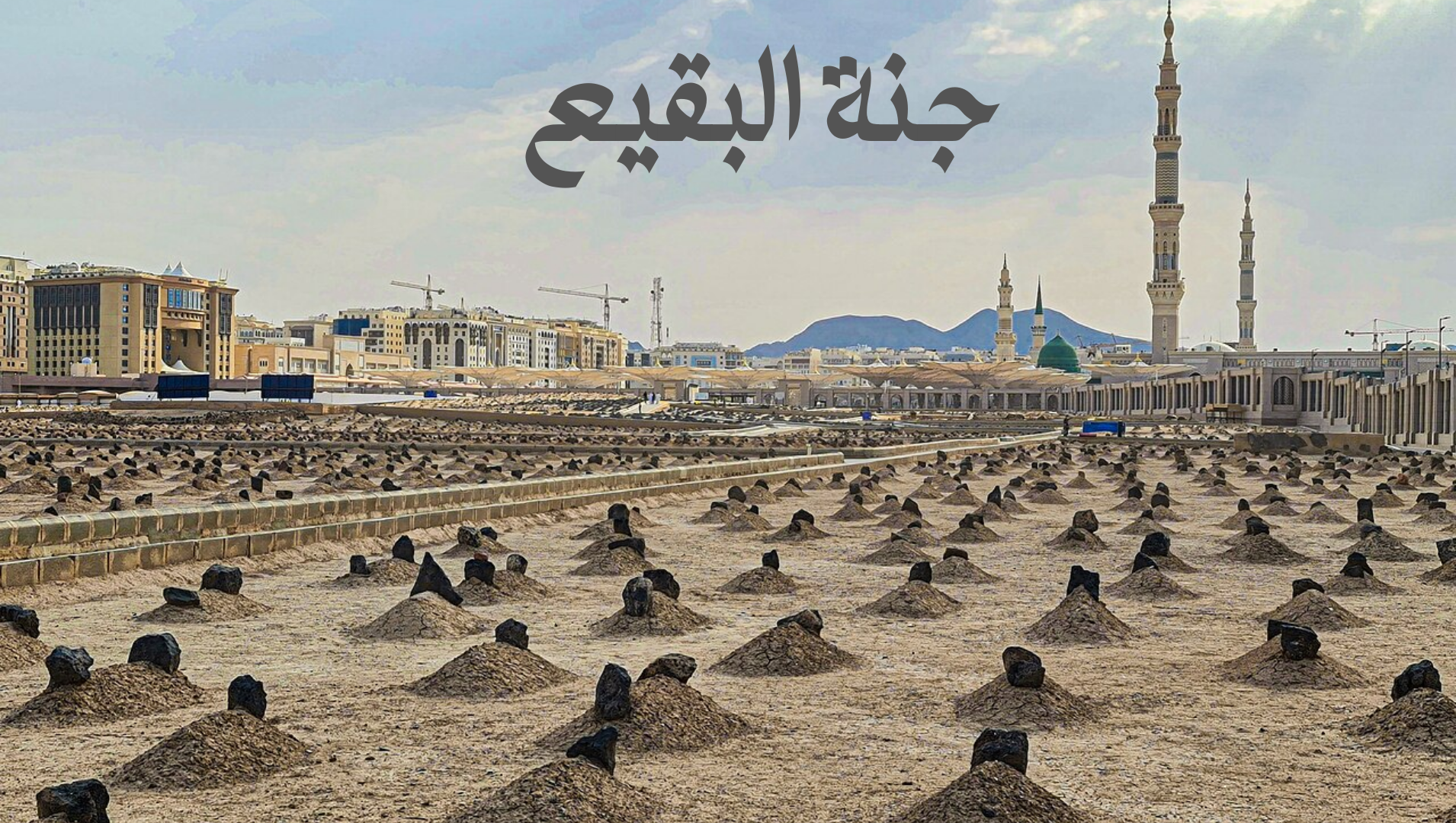 Qattiq boglangan Qattiq boglangan