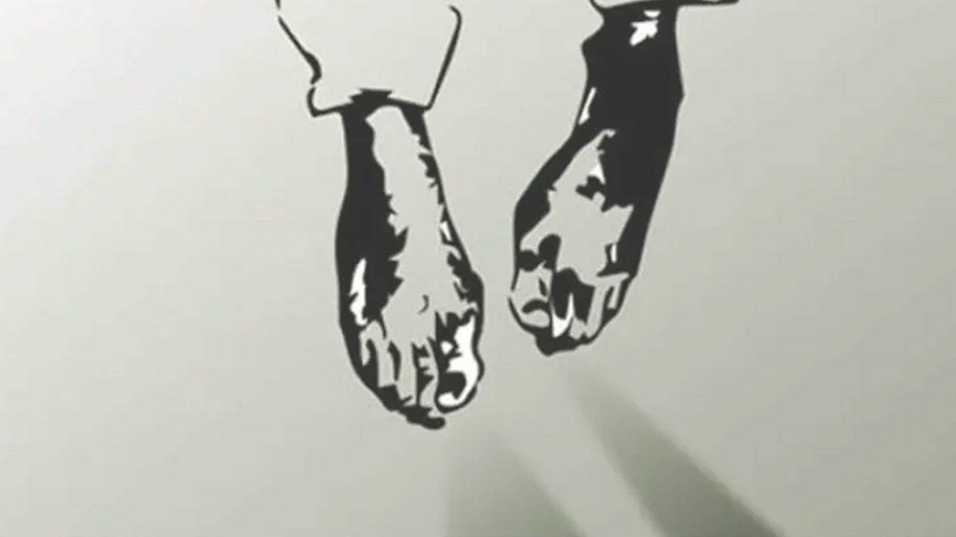 মহাখালীর আবাসিক হোটেলে ঝুলছিল আশরাফুলের মরদেহ