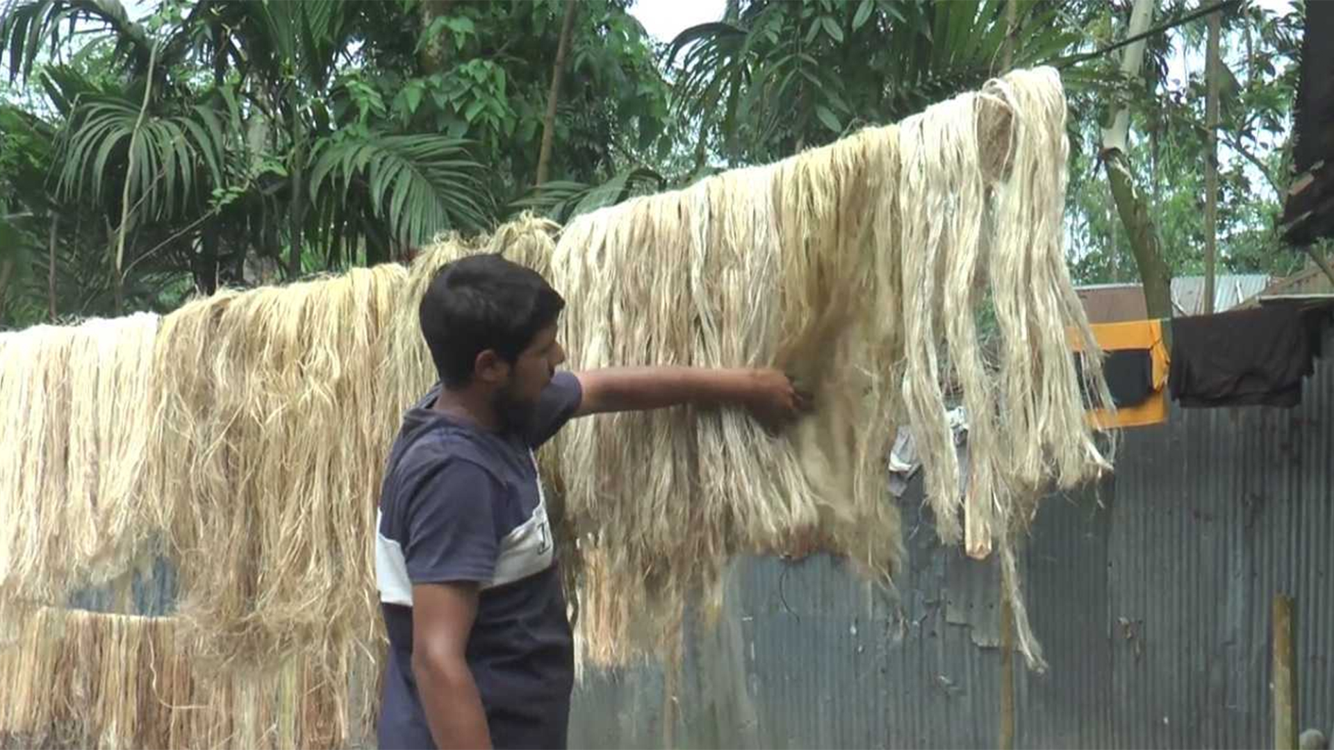 গাইবান্ধায় কলাগাছ দিয়ে তৈরি হচ্ছে সুতা