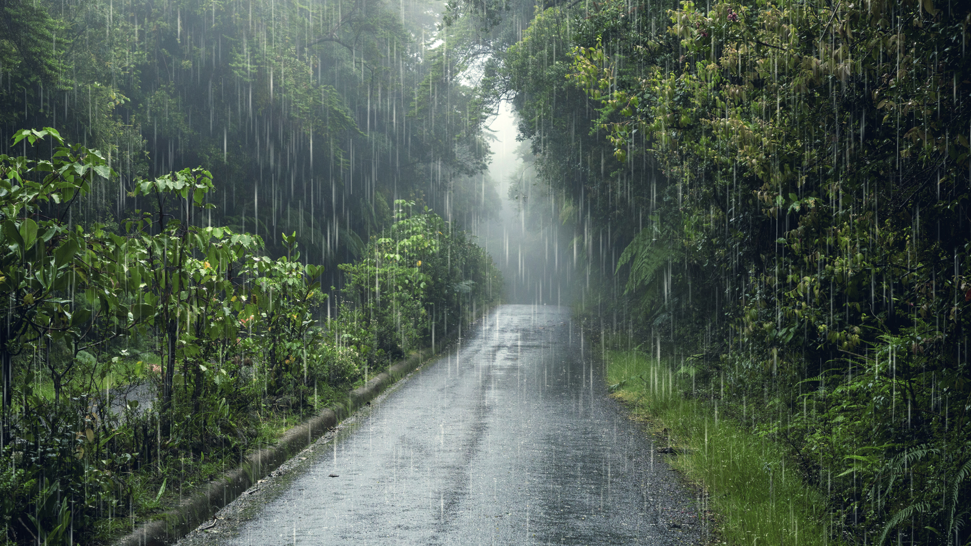 Ceded Raining Rain likely in parts of country