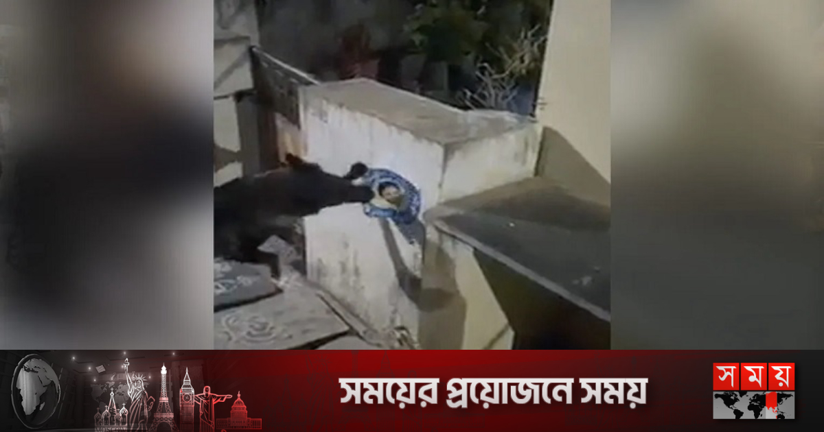 কামড়ে মুখ্যমন্ত্রীর পোস্টার ছিঁড়ে ফেলায় কুকুরের বিরুদ্ধে মামলা | আন্তর্জাতিক কামড়ে মুখ্যমন্ত্রীর পোস্টার ছিঁড়ে ফেলায় কুকুরের বিরুদ্ধে মামলা | আন্তর্জাতিক