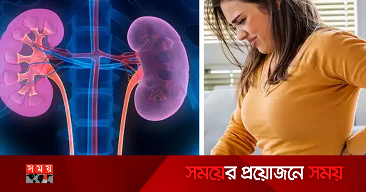 Hentai katta kokraklar