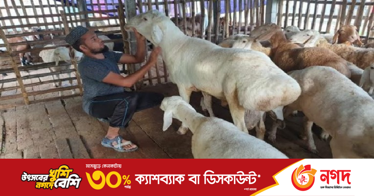 Oqartirish pornosi Ichigo Rukia Yaruichi