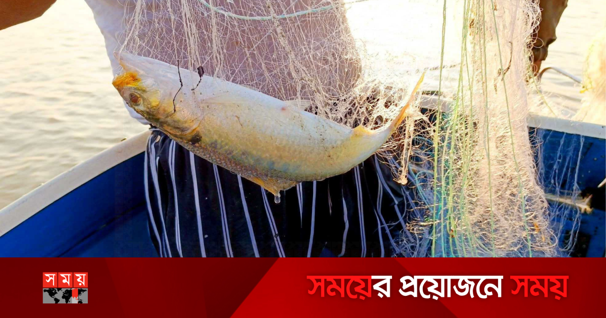 Katta eshakli mini qora ayollar