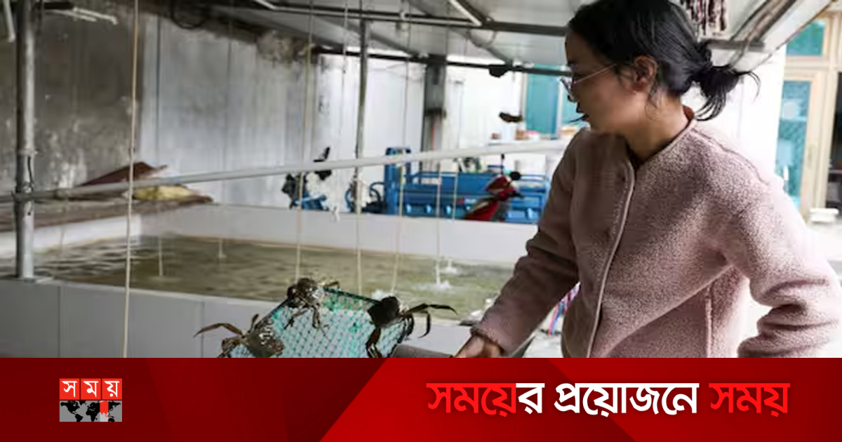 Ogay ona porno videoni koradi