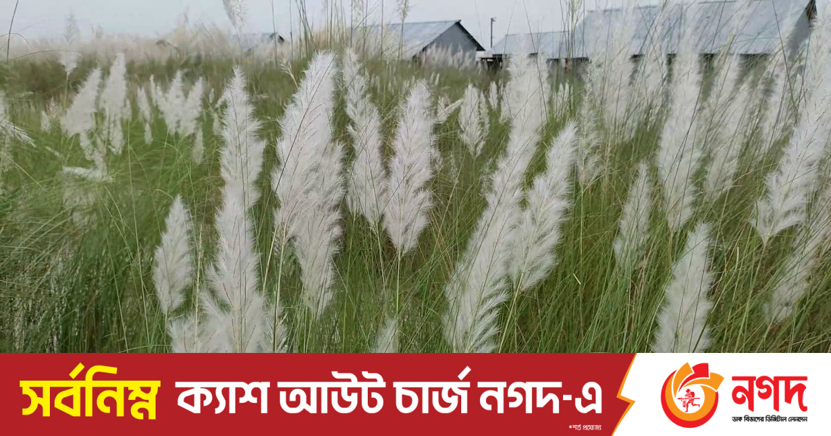 Jamoat transportida jinsiy aloqa video Winx jinsiy aloqa