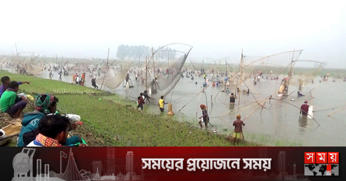 Porno yosh uy hayvonlari sperma