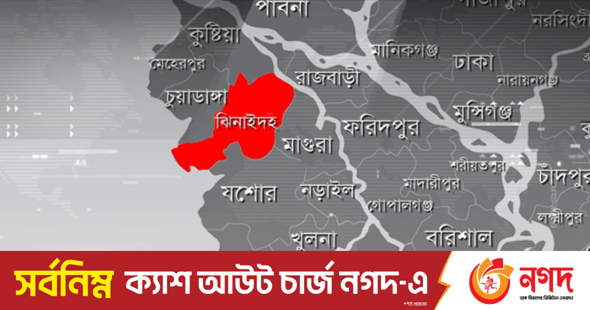 হরিণাকুণ্ডুতে সাপের কামড়ে কৃষকের মৃত্যু | বাংলাদেশ