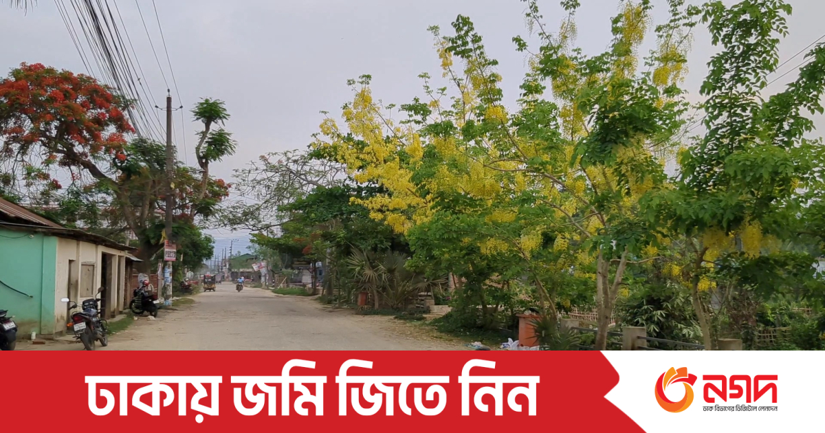 Burindagi fohishalar