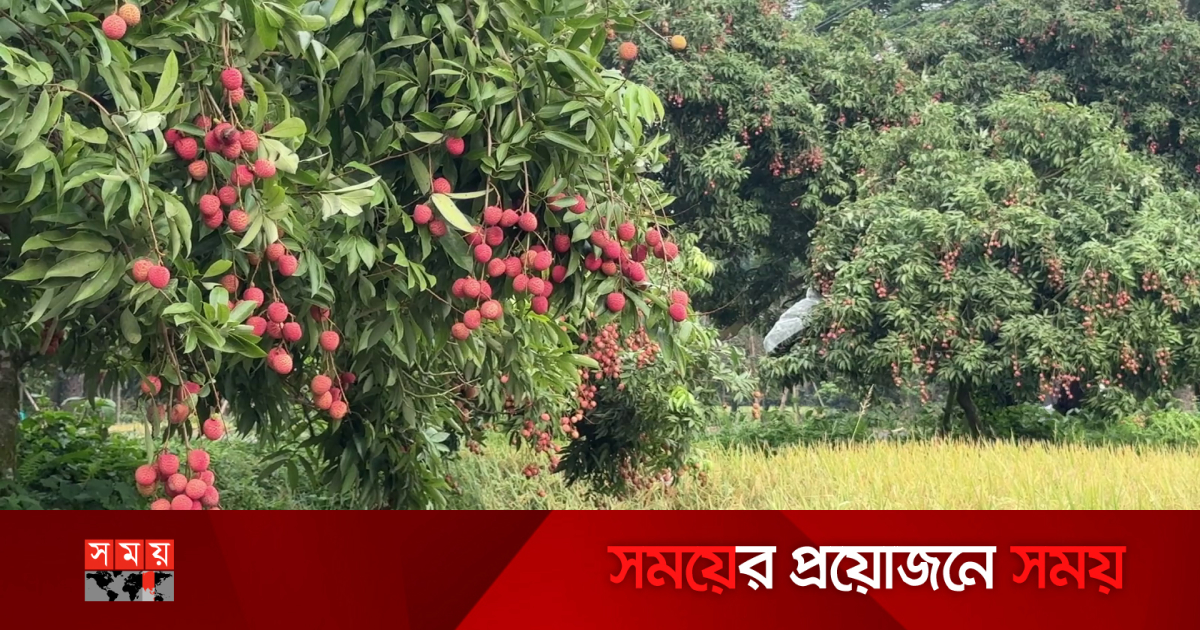 Xxx tabiatda yoshlik Family Taboo toliq metrajli porno filmlarini onlayn tomosha qiling