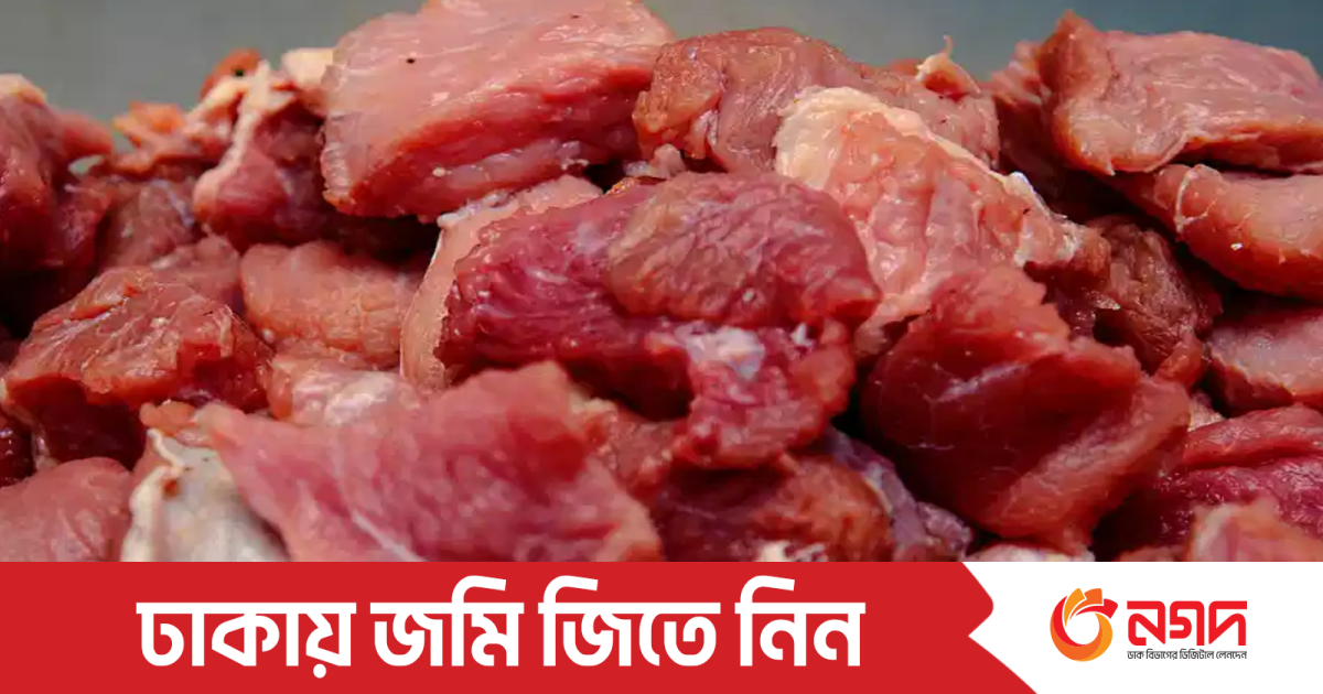 Jinsiy aristokratiya video