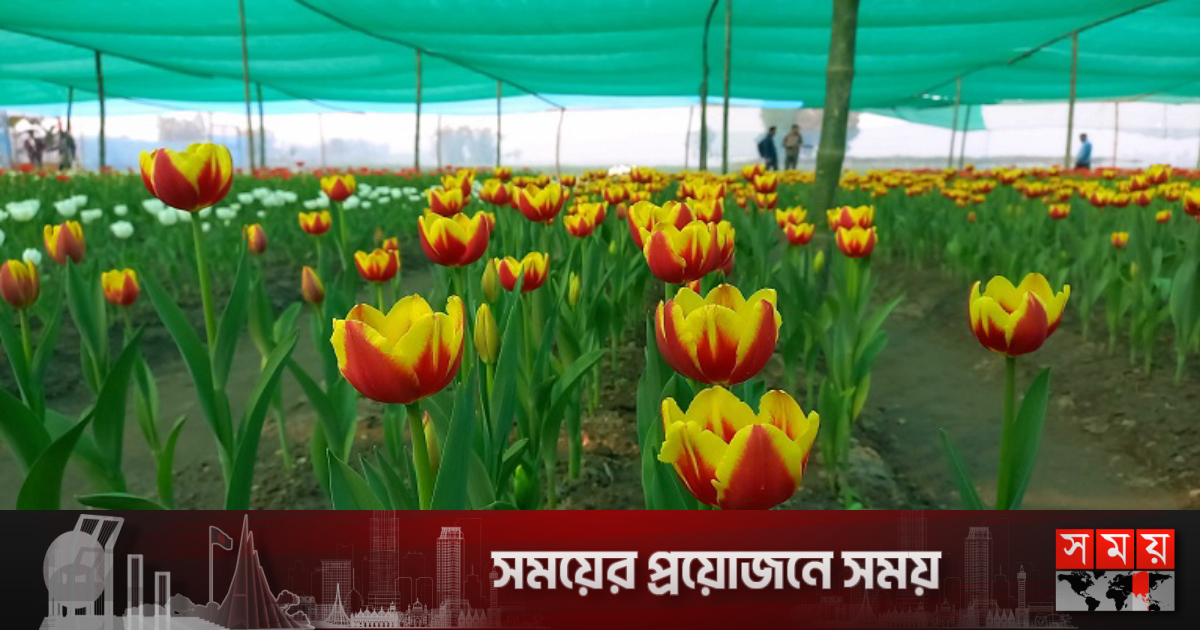 Rus teatr va kino aktrisalarining pornografik tasvirlari Nadya Dorofeevaning porno fotosuratlari